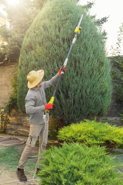 Best Lawn Watering Services  in Rinna, VA